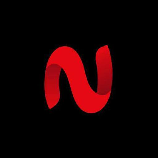 Netmirror Logo